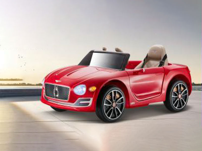 電動(dòng)童車(chē)